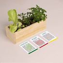 Bild von Hamburger Growing Kit (lettuce, beef tomato, mustard)