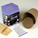 Bild von Cotton Growing Kit