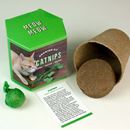 Bild von Catnips Growing Kit