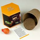 Bild von Hops Growing Kit