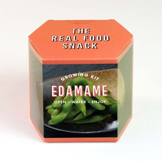 Bild von Edamame Growing Kit