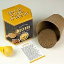 Bild von Mustard Growing Kit