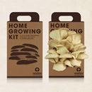 Bild von Home Growing Kit Oyster Mushroom