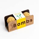 Bild von Biodiversity Bombs (Let’s Save the Bees)