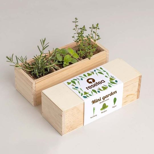 Bild von Mini garden Mediterranean