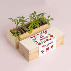 Bild von Mini garden Tomatoes