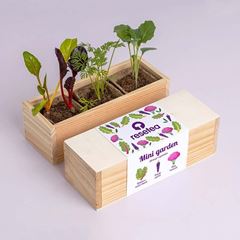 Bild von Mini garden Strange vegetables