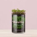 Bild von Potager de Basilic pour la Cuisine