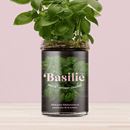 Bild von Potager de Basilic pour la Cuisine