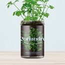 Bild von Potager de Coriandre pour la Cuisine