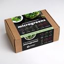 Bild von Microgreens IT