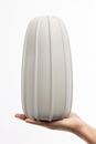 Bild von Vase GENTLE BREEZE LIGHT GREY