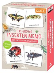 Bild von Das grosse Insekten Memo - Wer findet die meisten Paare?, VE-1