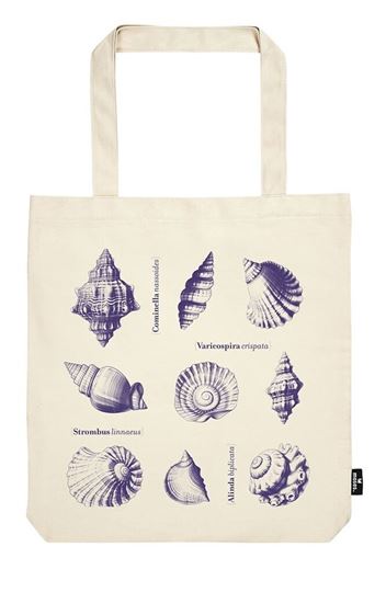 Bild von moses. libri_x Shopper Seashells, VE-3