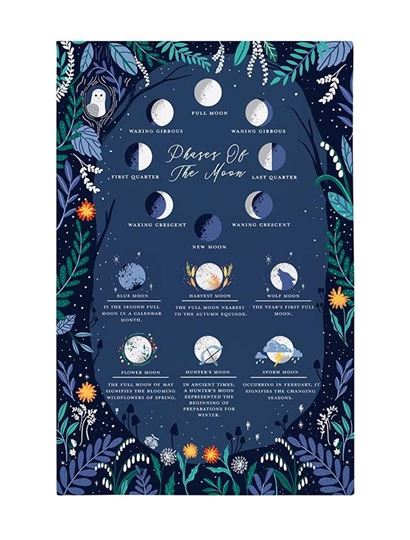 Bild von Phases of Moon Cotton Tea Towel - Ulster Weavers