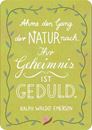 Bild von Lebe wild und voller Wunder - 50 Inspirationskarten aus der Natur