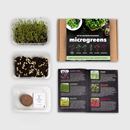 Bild von Microgreens IT