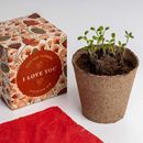 Bild von Say it with Flowers Growing Kit (I love you)