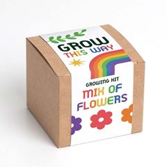 Bild von Grow This Way – Mix of Flowers Growing Kit