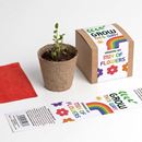 Bild von Grow This Way – Mix of Flowers Growing Kit