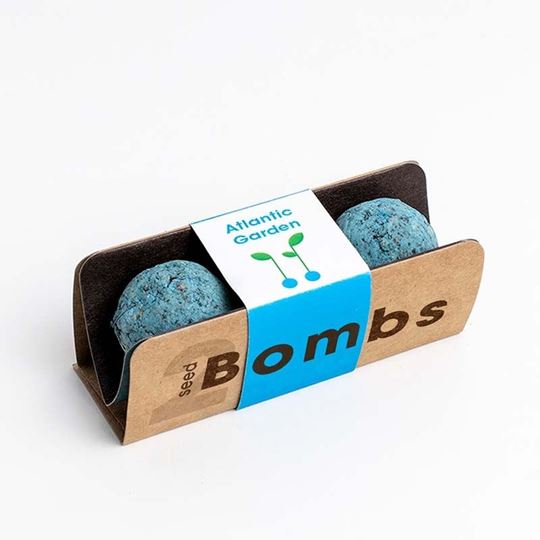 Bild von Biodiversity Bombs (Atlantic Garden)