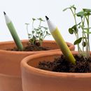 Bild von Plantable pencils display