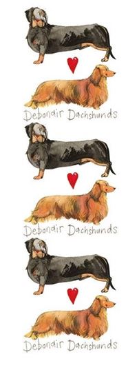 Bild von DEBONAIR DACHSHUNDS BOOKMARK