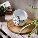 Bild von Dog Days Porcelain Bowl - Ulster Weavers