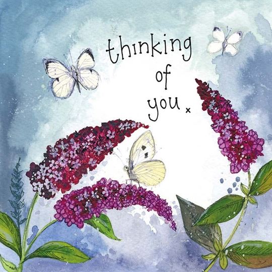 Bild von BUTTERFLIES & BUDDLEIA CARD