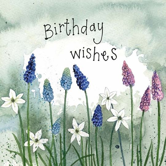 Bild von GRAPE HYACINTHS BIRTHDAY CARD