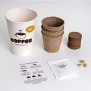 Bild von Coffee growing kit