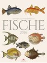 Bild von Fische Kalender 2026