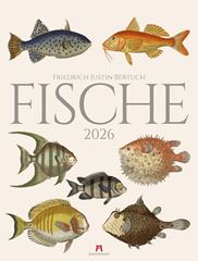 Bild von Fische Kalender 2026