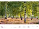 Bild von Wald - Ackermann Gallery Kalender 2026