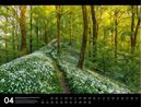 Bild von Naturparadies Deutschland - Signature Kalender 2026