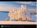 Bild von Naturparadies Deutschland - Signature Kalender 2026