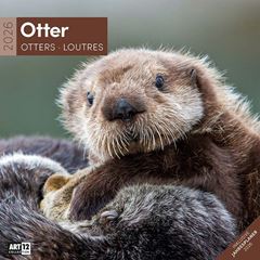 Bild von Otter Kalender 2026 - 30x30