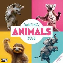 Bild von Dancing Animals Kalender 2026 - 30x30