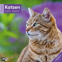 Bild von Katzen Kalender 2026 - 30x30