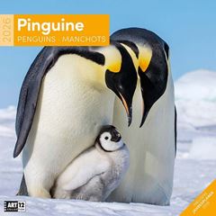 Bild von Pinguine Kalender 2026 - 30x30