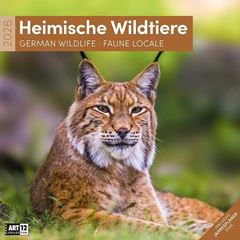 Bild von Heimische Wildtiere Kalender 2026 - 30x30