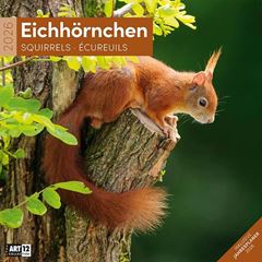 Bild von Eichhörnchen Kalender 2026 - 30x30