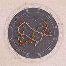 Bild von Miss Wood  Constellation Map - L Neptune - No Frame