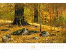 Bild von Kunstwerk Wald Kalender 2026