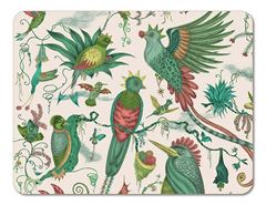 Bild von Emma J Shipley Quetzal/green Tablemat 38x29 - Jamida of Sweden