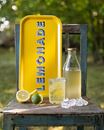 Bild von Asta Barrington Lemonade / yellow Tray 43x22cm - Jamida of Sweden