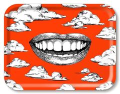 Bild von Michael Angove Fabulous Smile/red Tray 43x33 - Jamida of Sweden