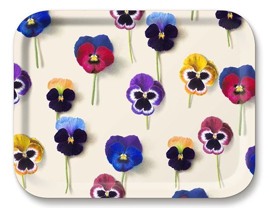 Bild von Michael Angove Pansy allover Tray 36x28 - Jamida of Sweden