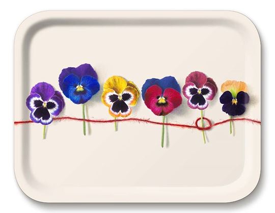 Bild von Michael Angove Pansy Tray 36x28 - Jamida of Sweden