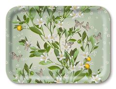 Bild von Michael Angove Orange Blossom Tray 27x20 - Jamida of Sweden